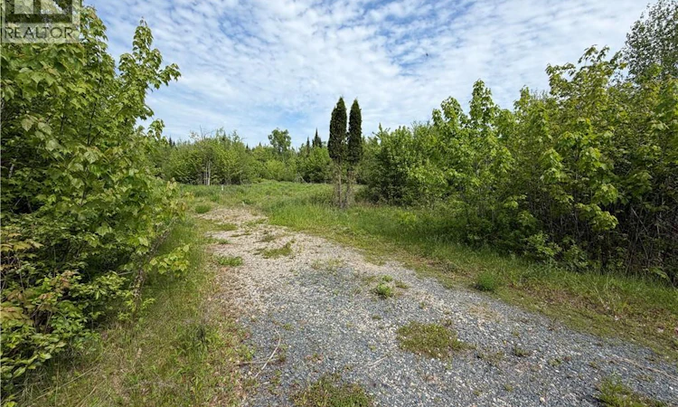 225 Black River Road South
