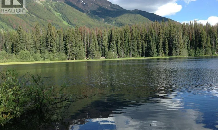 DL-5374 Mead Lake