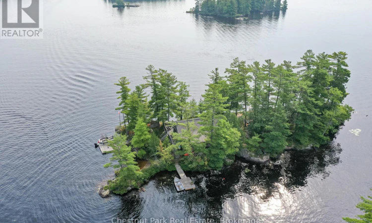 1 Rose Island