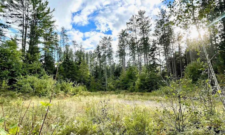 0 Cardwell Lake Road