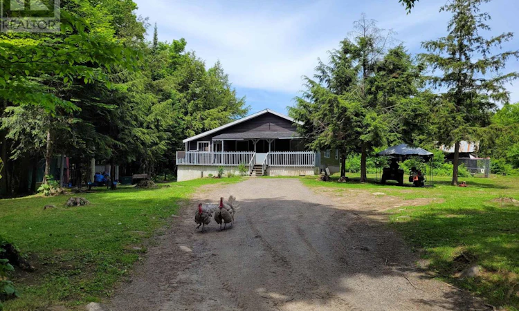 246 Hickey Trail