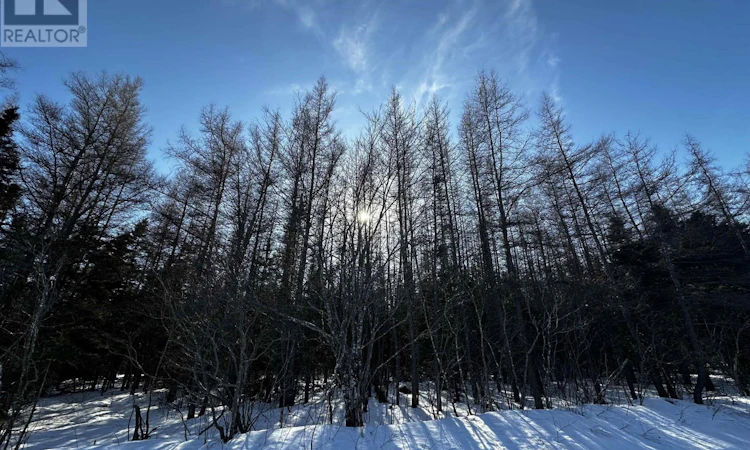 Lot-4B Whycocomagh Port Hood Road