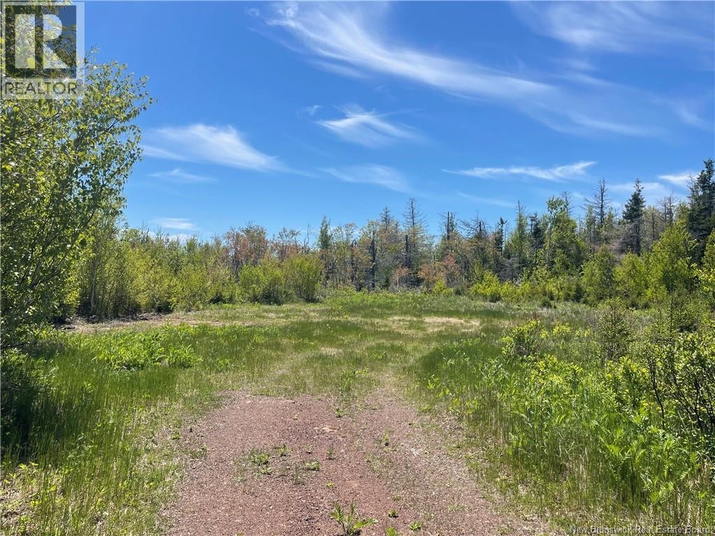 Lot 95-5 P'tit Barachois Road, Grand-Barachois, NB, E4P 7Y3