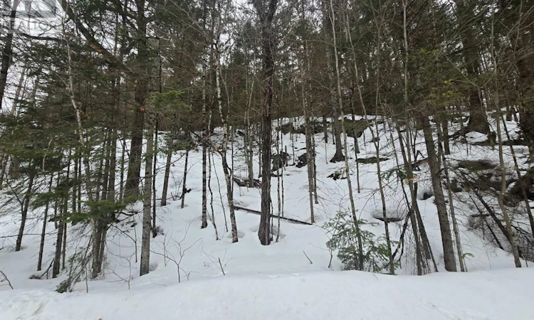 107 Balsam Chutes Road