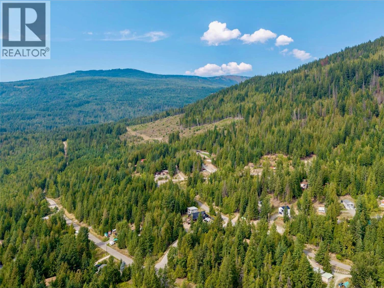 2731 Fairview Road, Anglemont, BC, V0E 1M8 - 41