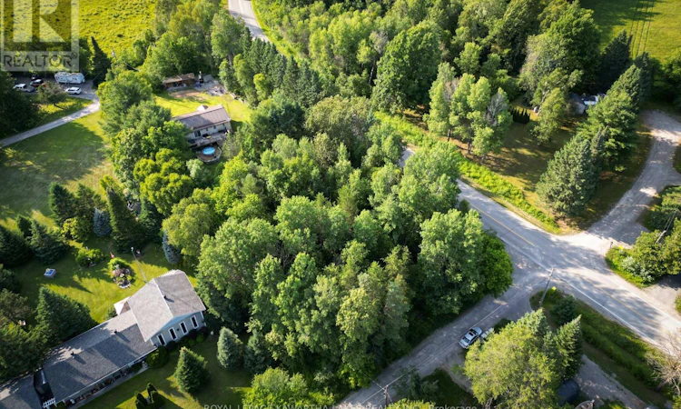 LT-23 Basswood Drive