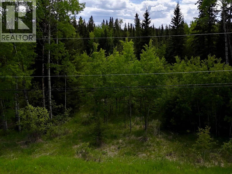 6399 Lambley Road, Horse Lake, BC, V0K 2E3 - 14