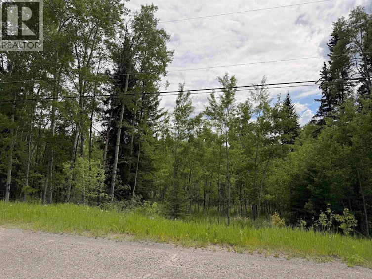 6399 Lambley Road, Horse Lake, BC, V0K 2E3 - 9