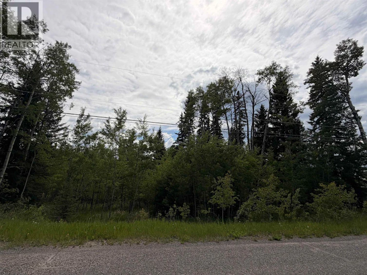 6399 Lambley Road, Horse Lake, BC, V0K 2E3 - 7