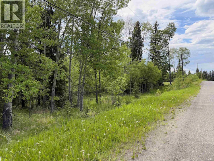 6399 Lambley Road, Horse Lake, BC, V0K 2E3 - 3
