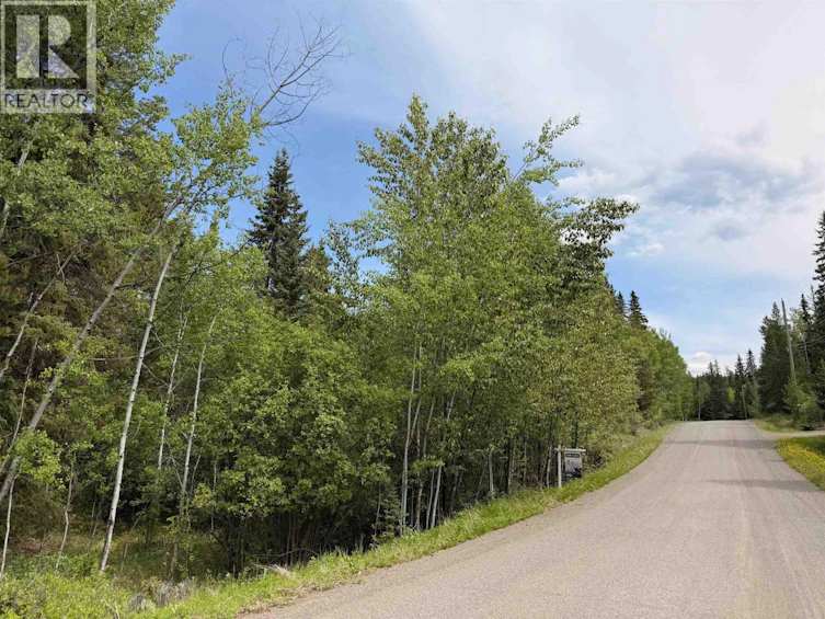 6399 Lambley Road, Horse Lake, BC, V0K 2E3 - 10