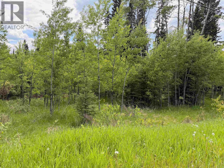 6399 Lambley Road, Horse Lake, BC, V0K 2E3 - 5