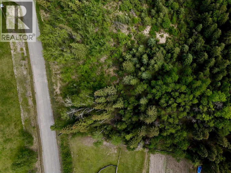 6399 Lambley Road, Horse Lake, BC, V0K 2E3 - 15