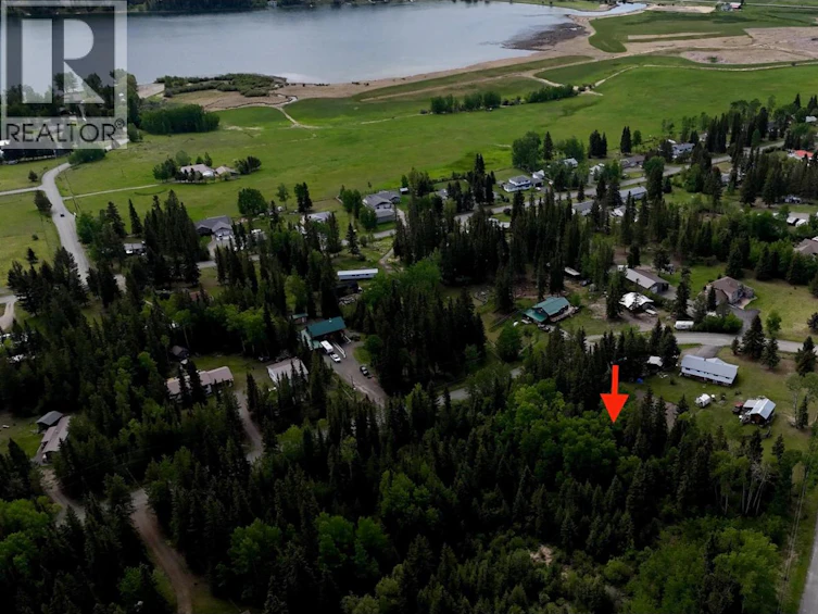 6399 Lambley Road, Horse Lake, BC, V0K 2E3 - 17