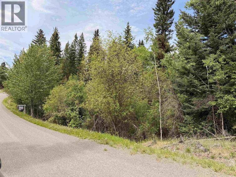 6399 Lambley Road, Horse Lake, BC, V0K 2E3 - 11