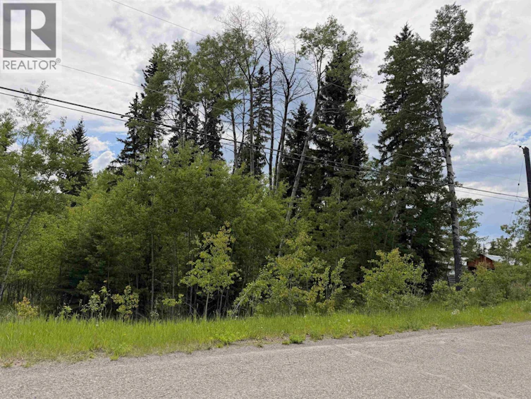 6399 Lambley Road, Horse Lake, BC, V0K 2E3 - 8