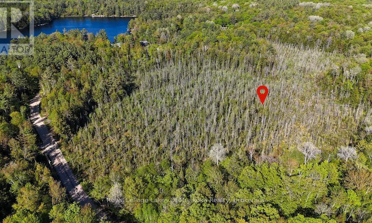 1356 Dickie Lake Road