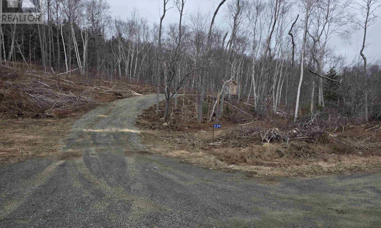 Lot 2-239 Sissiboo Road