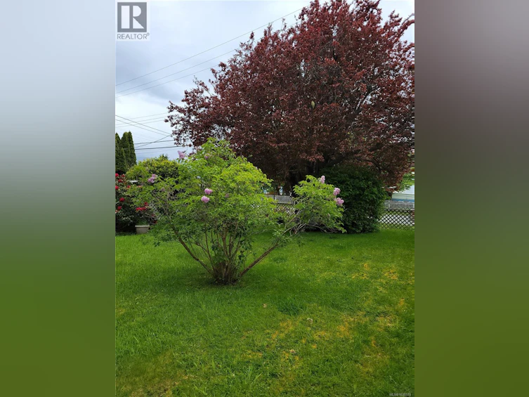 179 2nd Street, Sointula, BC, V0N 3E0 - 7