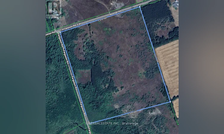 557 Noonan Road