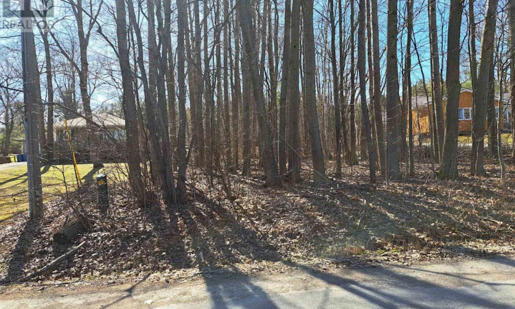 0 Poplar Drive