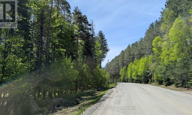 LOT-1 Red Pine Trail