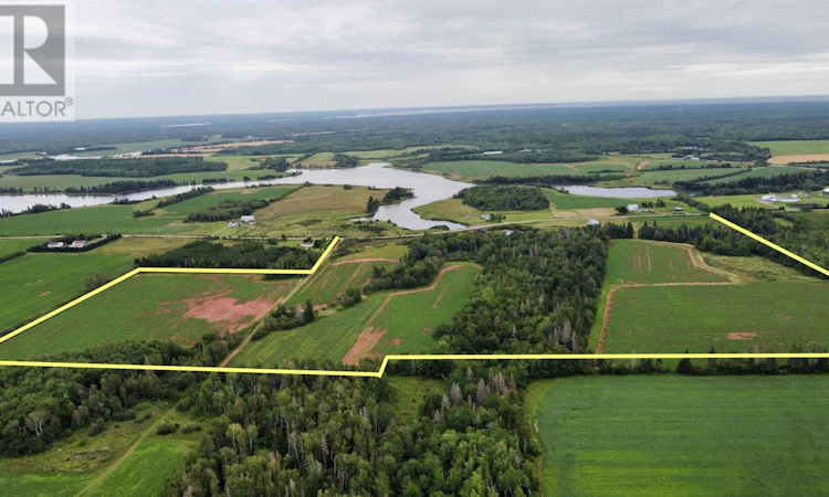 141 Trout River Road
