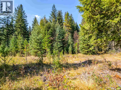 6355 Bates Road - 4