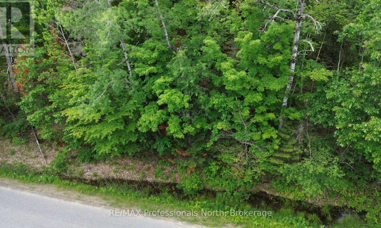 0 Trapper's Trail Road