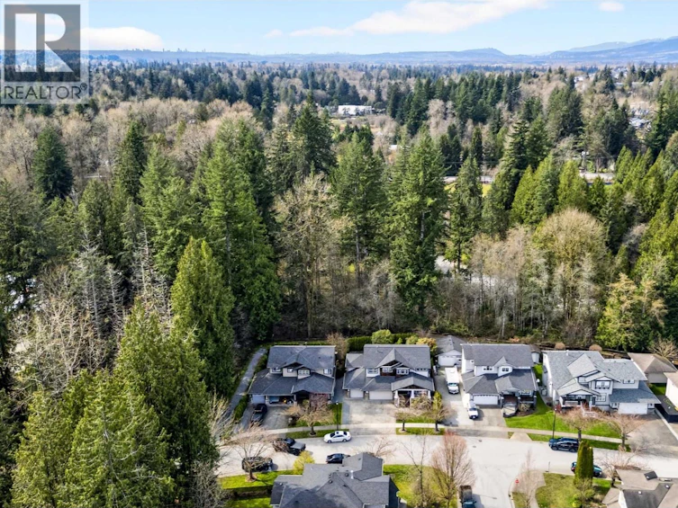 13295 233 Street, Maple Ridge, BC, V4R 2W6 - 39