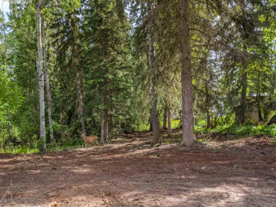 LOT-81 Mulligan Drive - 2