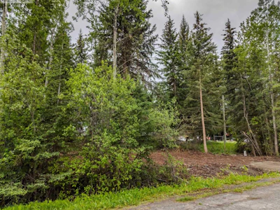 LOT-81 Mulligan Drive - 5