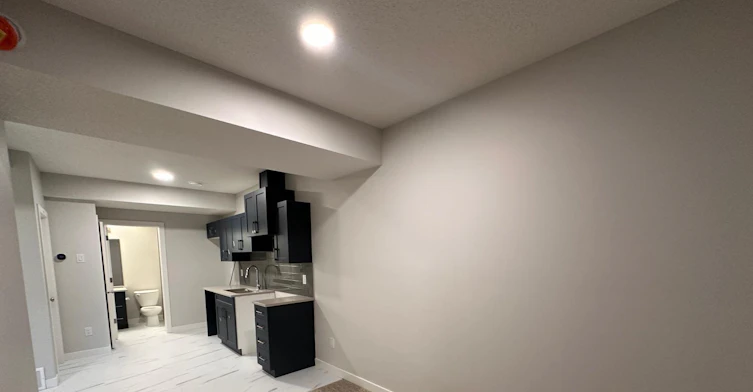 Basement-3012 9 Street NW, Edmonton, AB, T6T 2V3 - 5