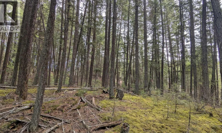 Lot-3 Summit Road