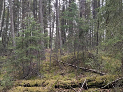 Lot-3 Summit Road - 3