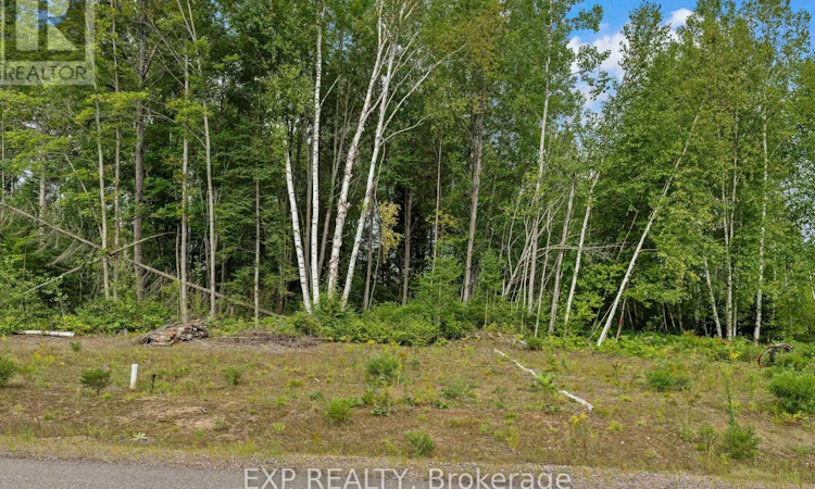 14 Birchview Drive