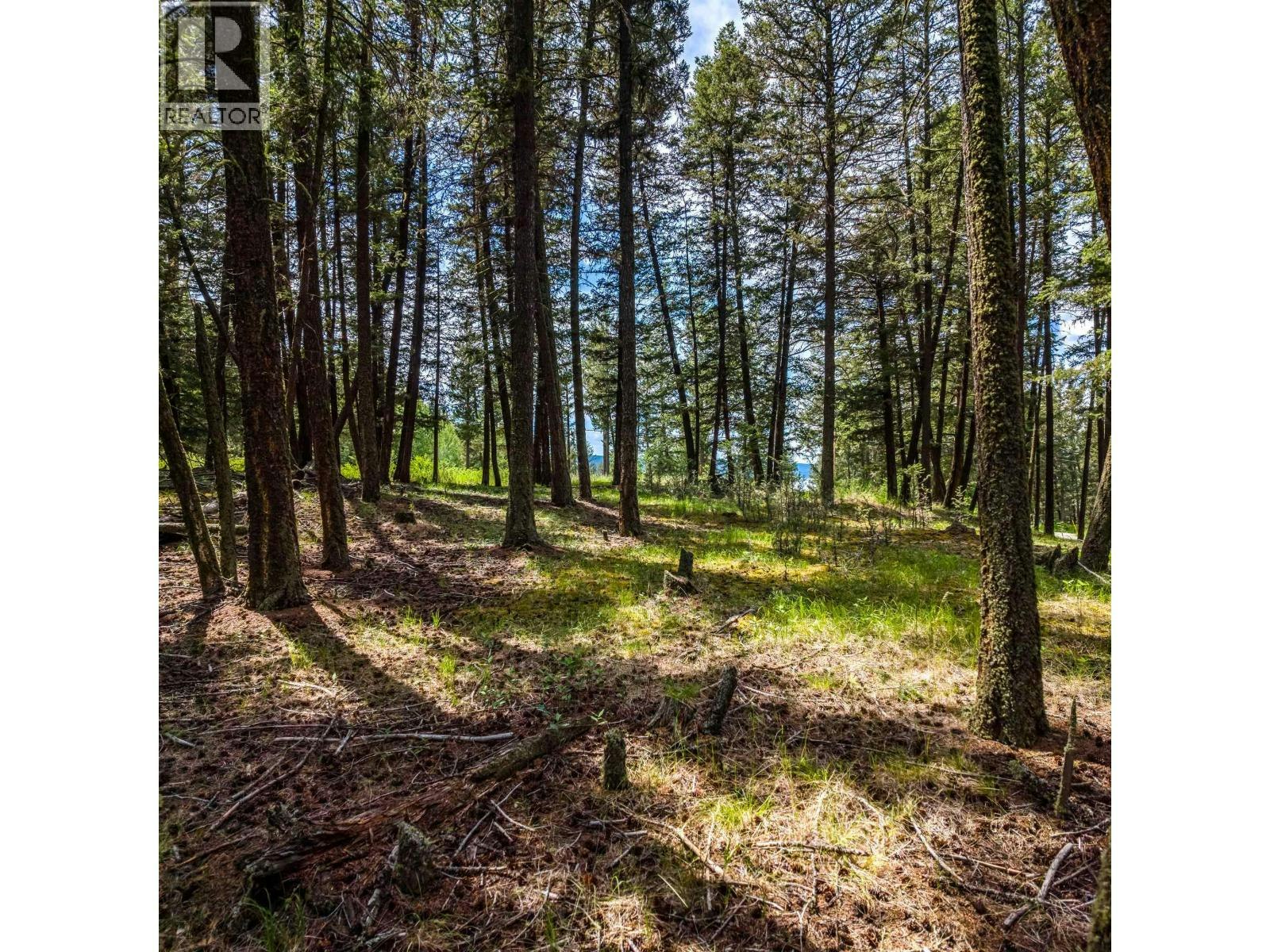 LOT-2 Lac La Hache Station Road - 5