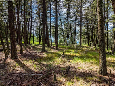 LOT-2 Lac La Hache Station Road - 5