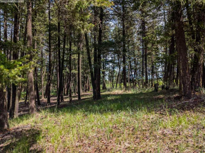 LOT-2 Lac La Hache Station Road - 3