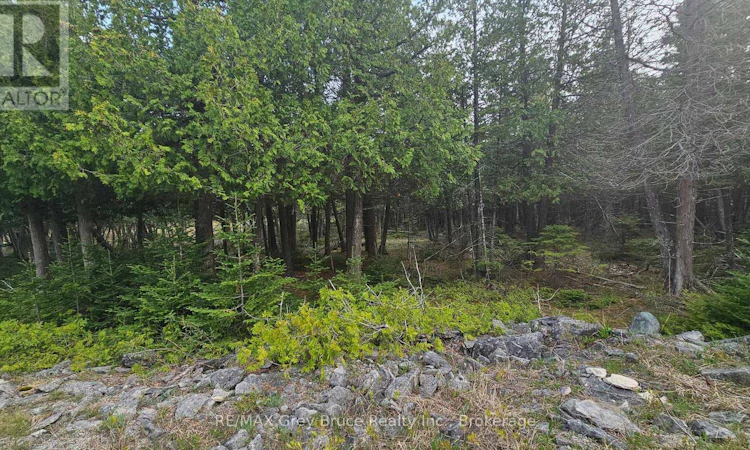 LT-254 Dorcas Bay Road