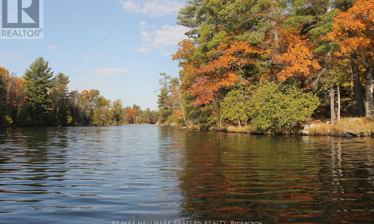 LOT 1-C280 Lower Buckhorn Lake