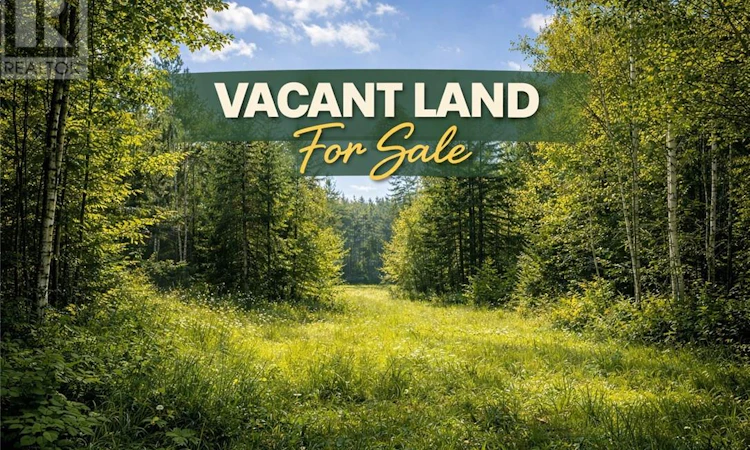 LT-14 Con 6