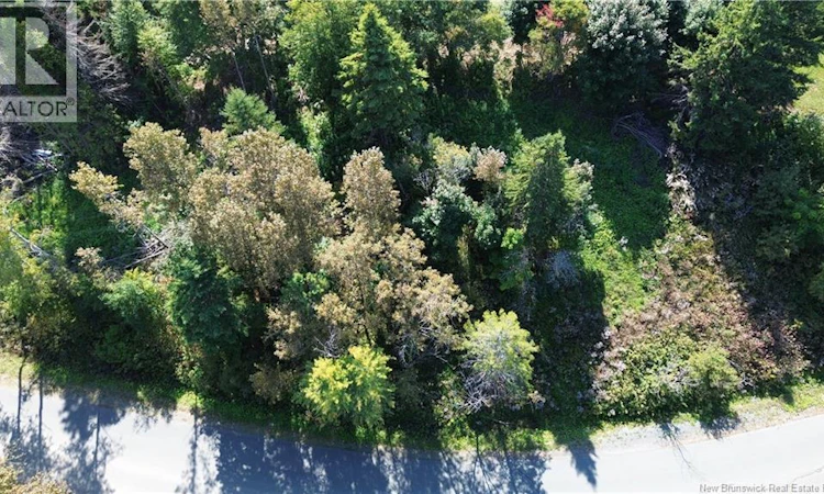 vacant Land Cote Bleue Drive