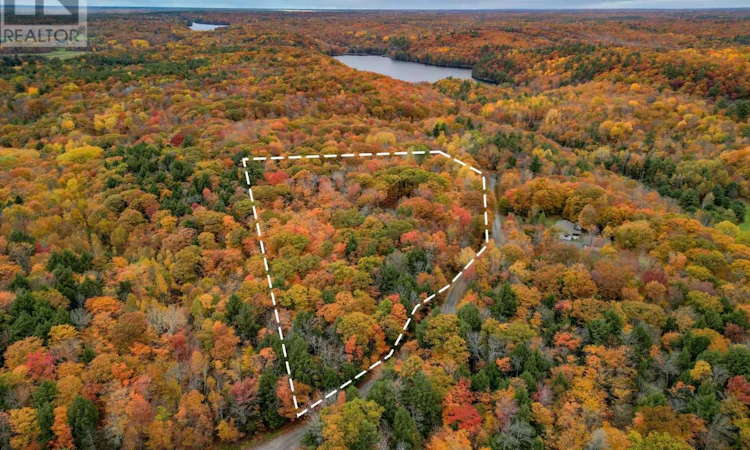 0 Mill Lake Trail