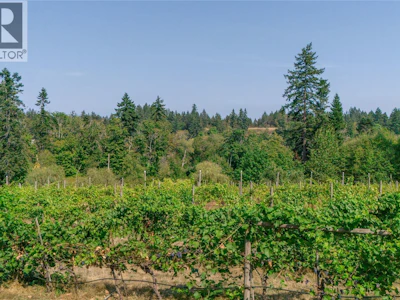 2300 East Wellington Road - 3