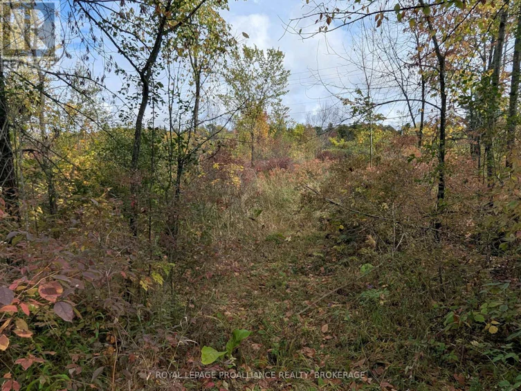 LOT-34 Leo Lake Road, Kingston, ON, K0H 2N0 - 15