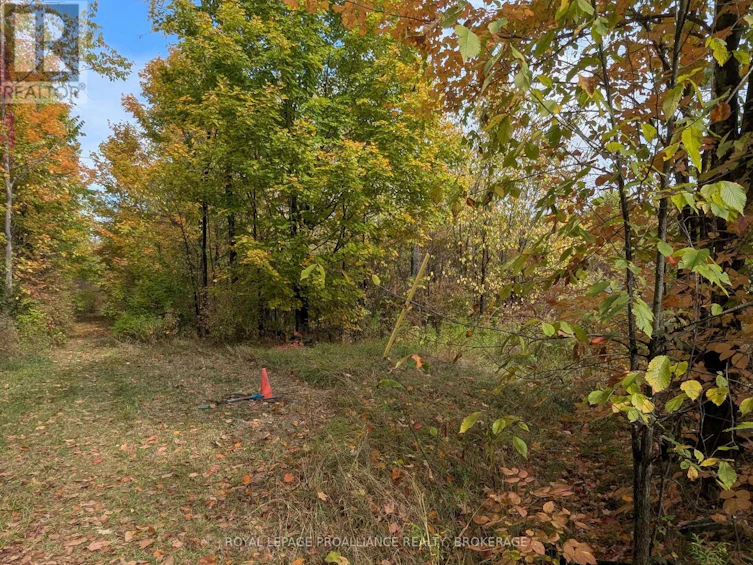 LOT-34 Leo Lake Road, Kingston, ON, K0H 2N0 - 13