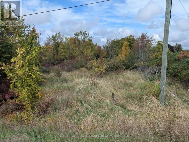 LOT-34 Leo Lake Road, Kingston, ON, K0H 2N0 - 10