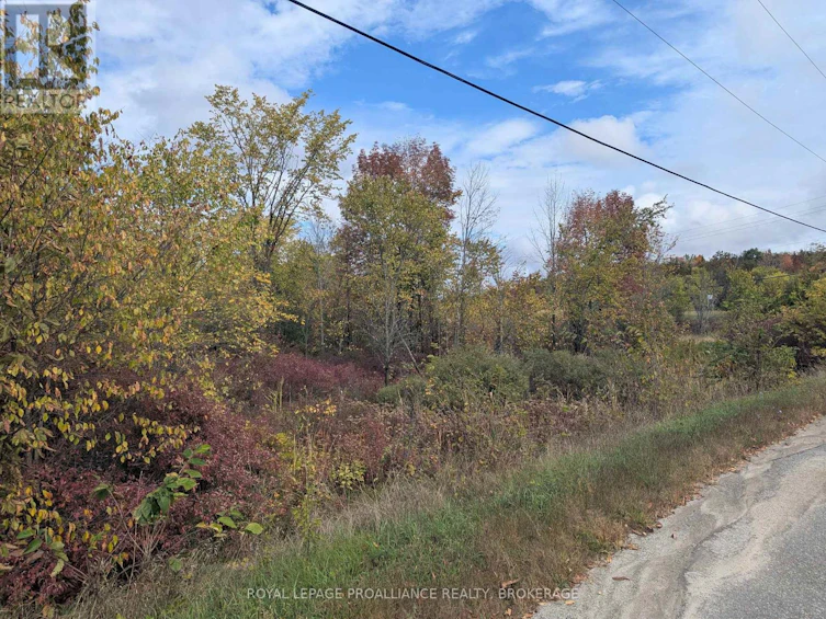 LOT-34 Leo Lake Road, Kingston, ON, K0H 2N0 - 21