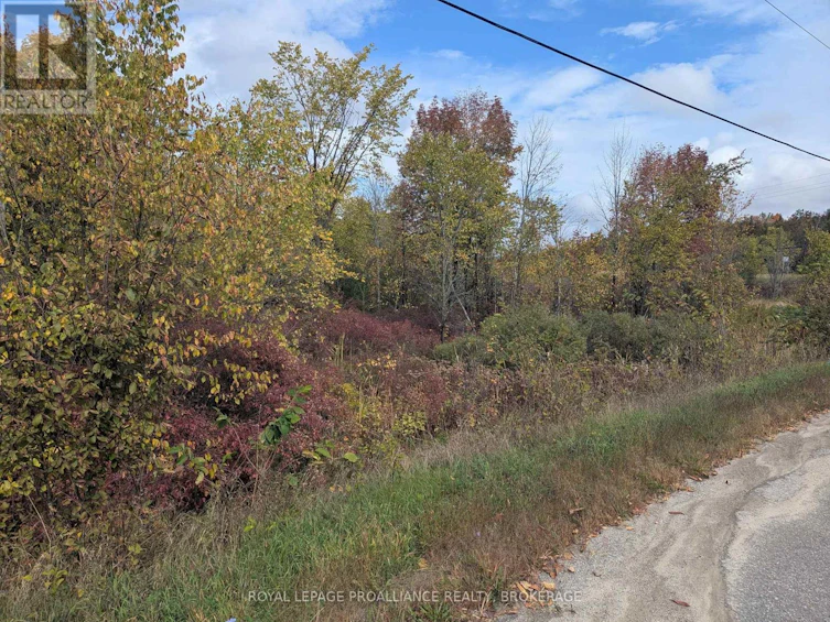 LOT-34 Leo Lake Road, Kingston, ON, K0H 2N0 - 17